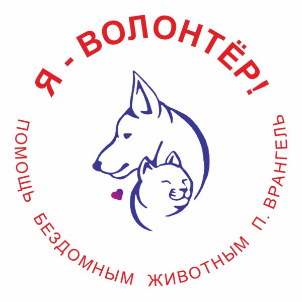 Красноярская общественная организация. Группа помощи бездомным животным ковров.