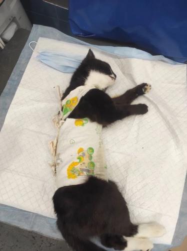 5456174935442132035