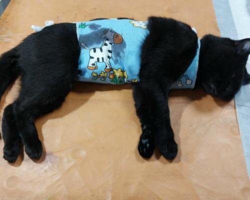 image-22 (1) (1) (1)