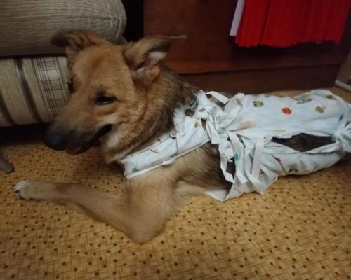 image-44 (1) (1) (1)